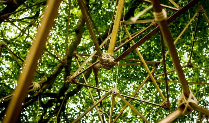 An overhead close-up view of a structure made of bamboo sticks with the green leaves of trees in the background
